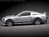 11-2010-eleanor-ford-mustang