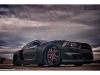 2011-charger-rt-hemi-wide-body-10