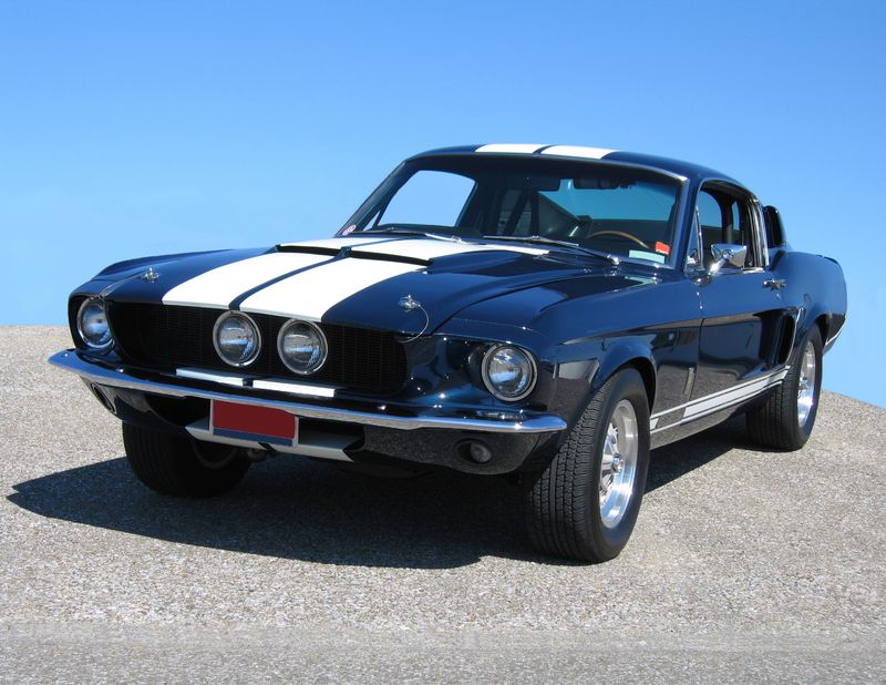 mustang shelby gt500. Mustang Shelby GT: 1965-2011